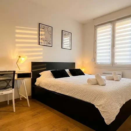 Apartment Comfortable, Cozy, Spacious, Close To Cathedral