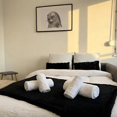 Apartment Comfortable, Cozy, Spacious, Close To Cathedral *