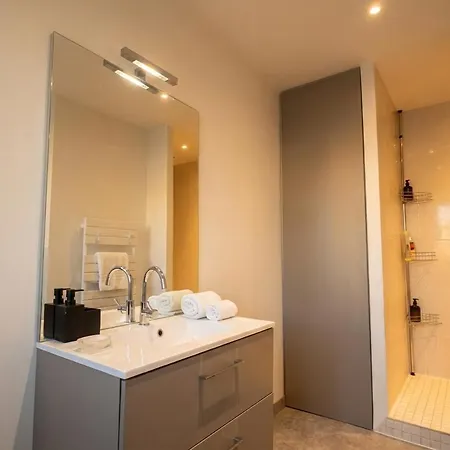 Comfortable, Cozy, Spacious, Close To Cathedral Apartment Reims